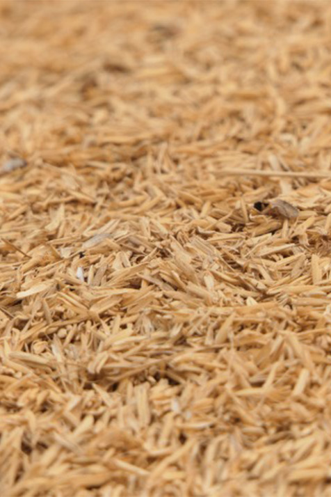 A close-up of a pile of straw